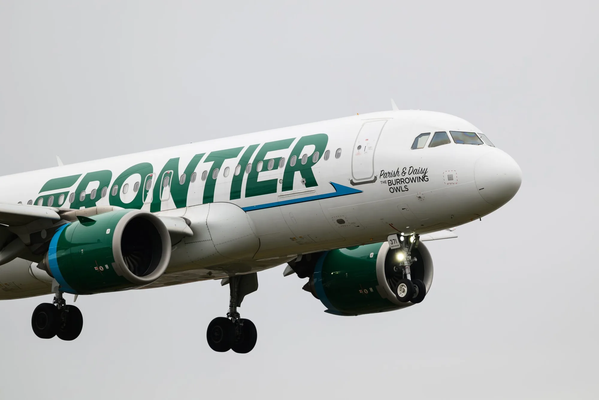 Denver Airport Frontier Flight Hit And Killed A Person On The Runway During Takeoff