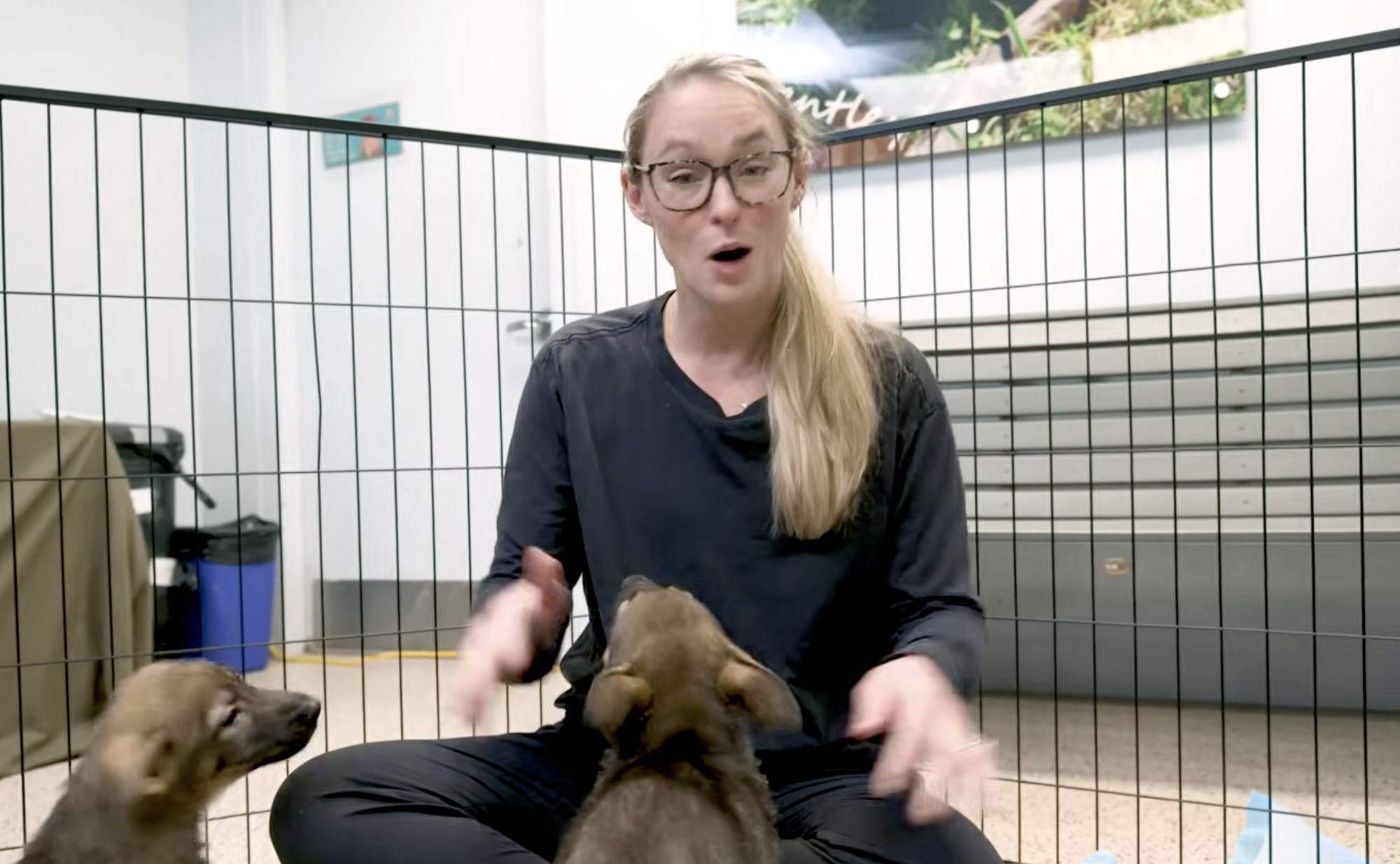 Kylie Kelce Got A New Puppy And The Dog Naming Process Explains Everything About Her Marriage
