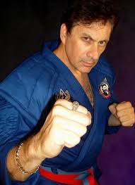The Difference  between Traditional Martial Arts and Mixed Martial Arts