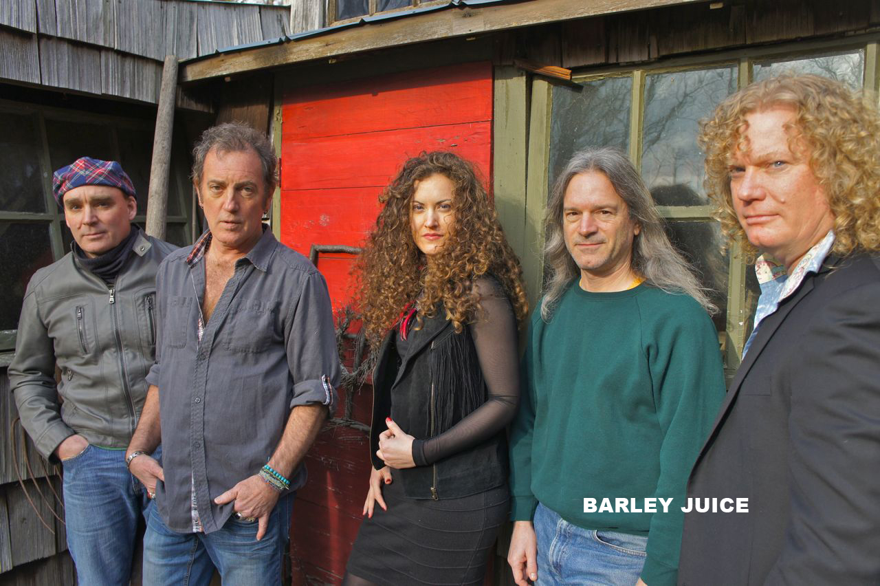 Nine bands to perform at South Buffalo Irish Festival -