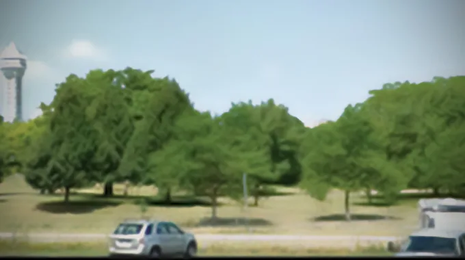 State Parks Declares “War on Trees”
