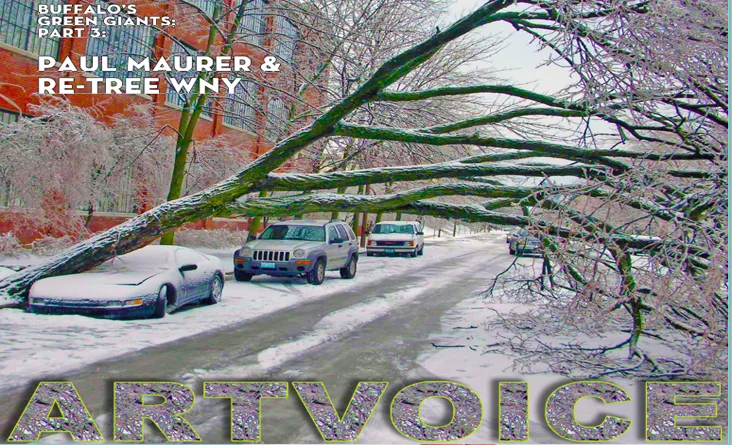 Buffalo’s Green Giants part 3: Paul Maurer and Re-Tree WNY