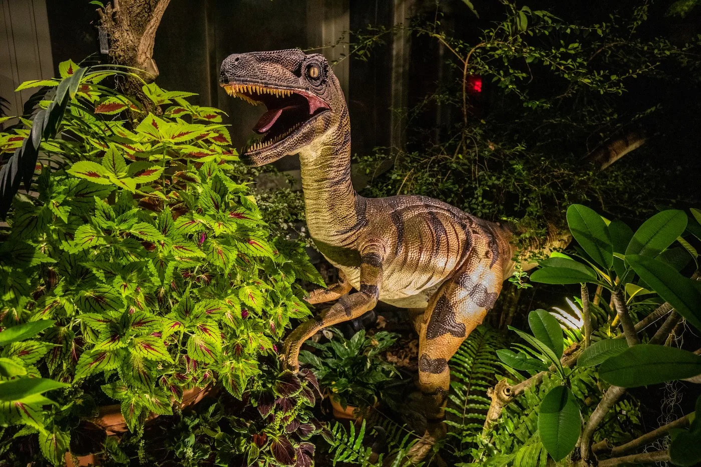 Creatures After Dark Returns to Botanical Gardens