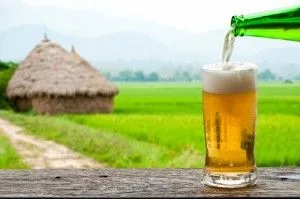 Enjoy beer with rice field landscape.
