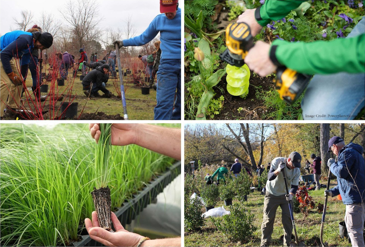 RestoreCorps Ellicott Creek Tree and Shrub Planting Event Sat, Nov. 12, 2022