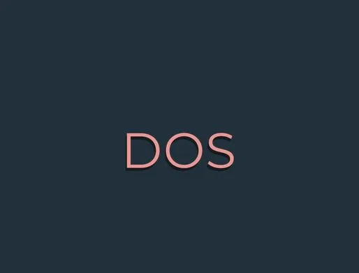 DOS Manual Found –  Lesson 1 Honor Your Master in Every Way