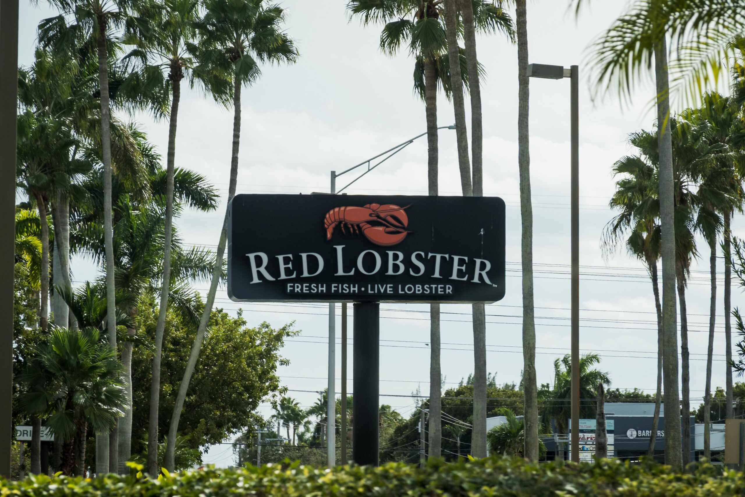 Red Lobster Tallahassee Is Closing After 56 Years And Fans Are Devastated