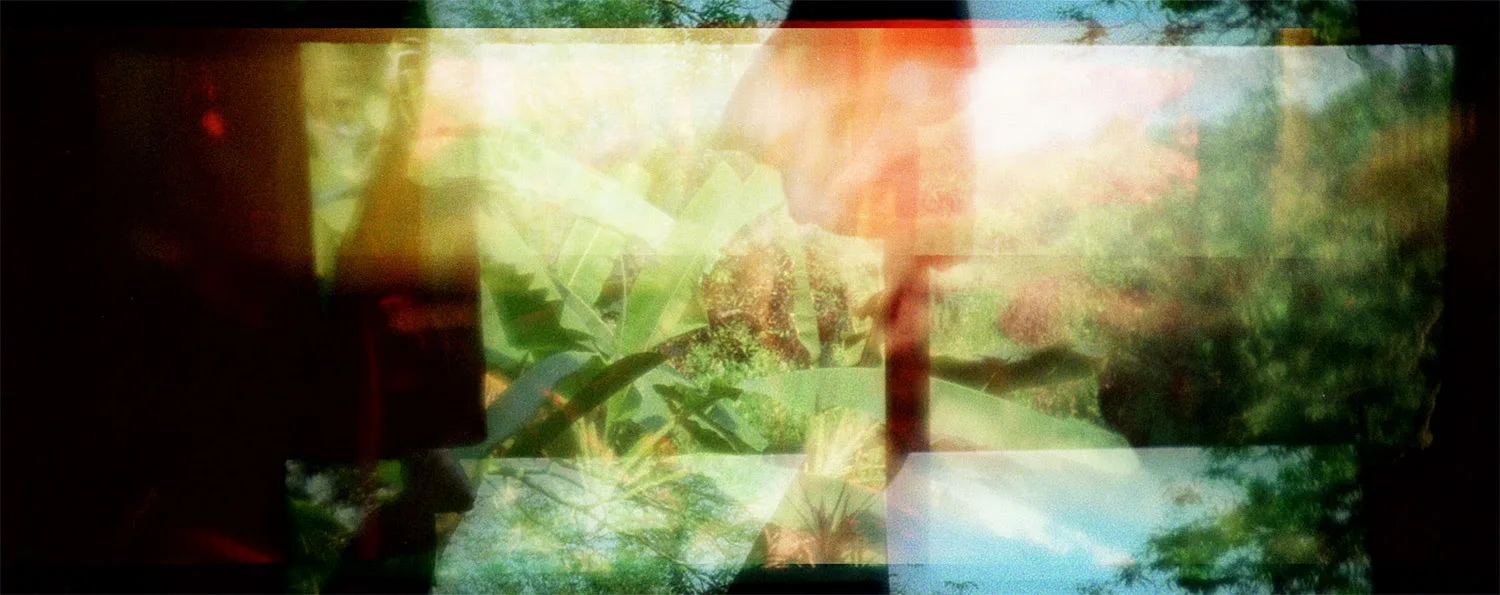 Apichatpong Weerasethakul: The Serenity Of Madness