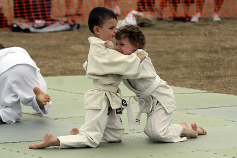 Questions for Vanguard #2: Judo Champ?
