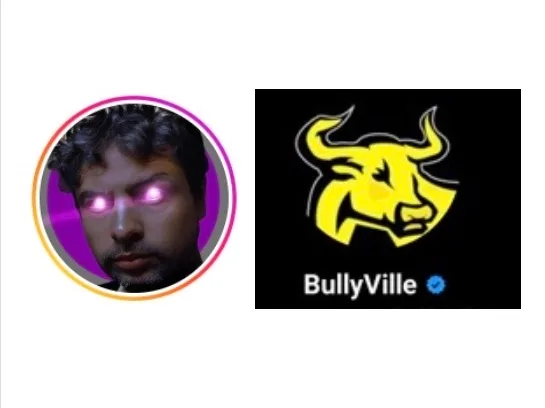 Private Messages of Two Online Vigilantes Gives Insight Into Cancel Culture
