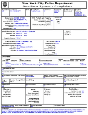 Luthmann NYPD Report 1