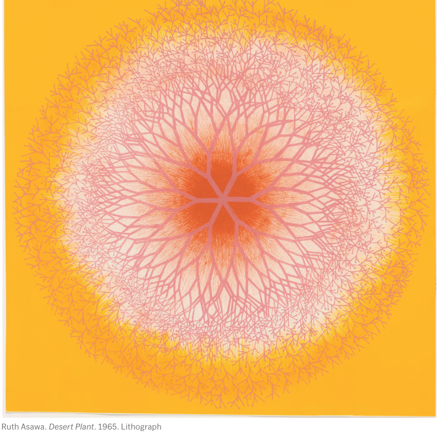 MoMA Unveils the Biggest Show in Its History by a Woman Artist: Ruth Asawa