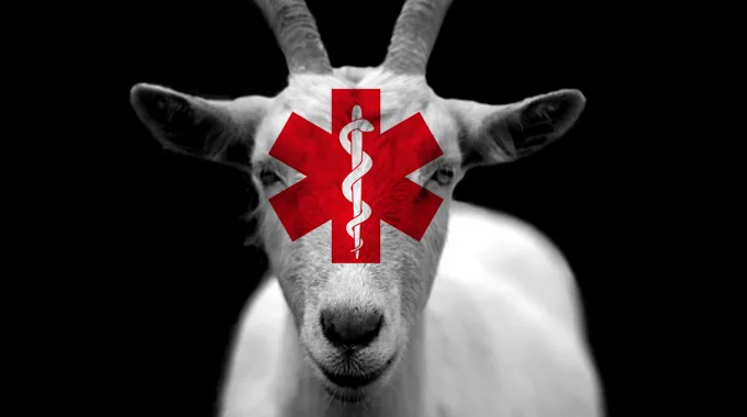 Dr. Scapegoat, I Presume?