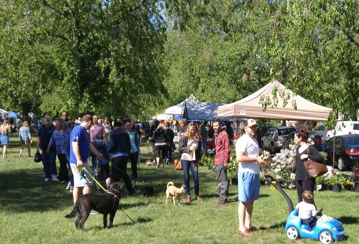 The Elmwood Village Farmers Market is still OPEN every Sat, rain or shine, thru Nov. 26, 8am-1pm