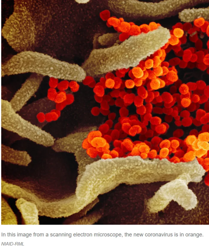 Coronavirus Crisis Continues – Now Affecting All Aspects of Our Lives