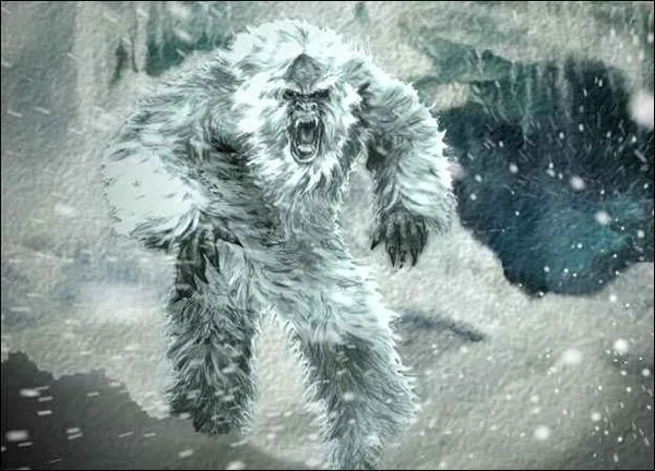 About the Yeti