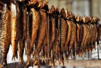 red herring