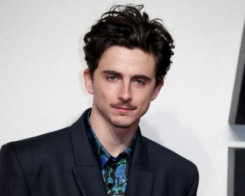 timothee chalemet on the red carpet