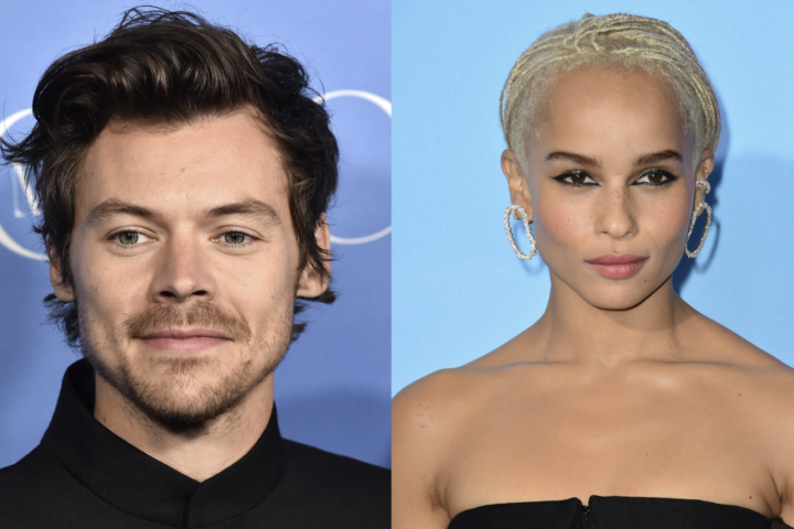 Harry Styles and Zoe Kravitz