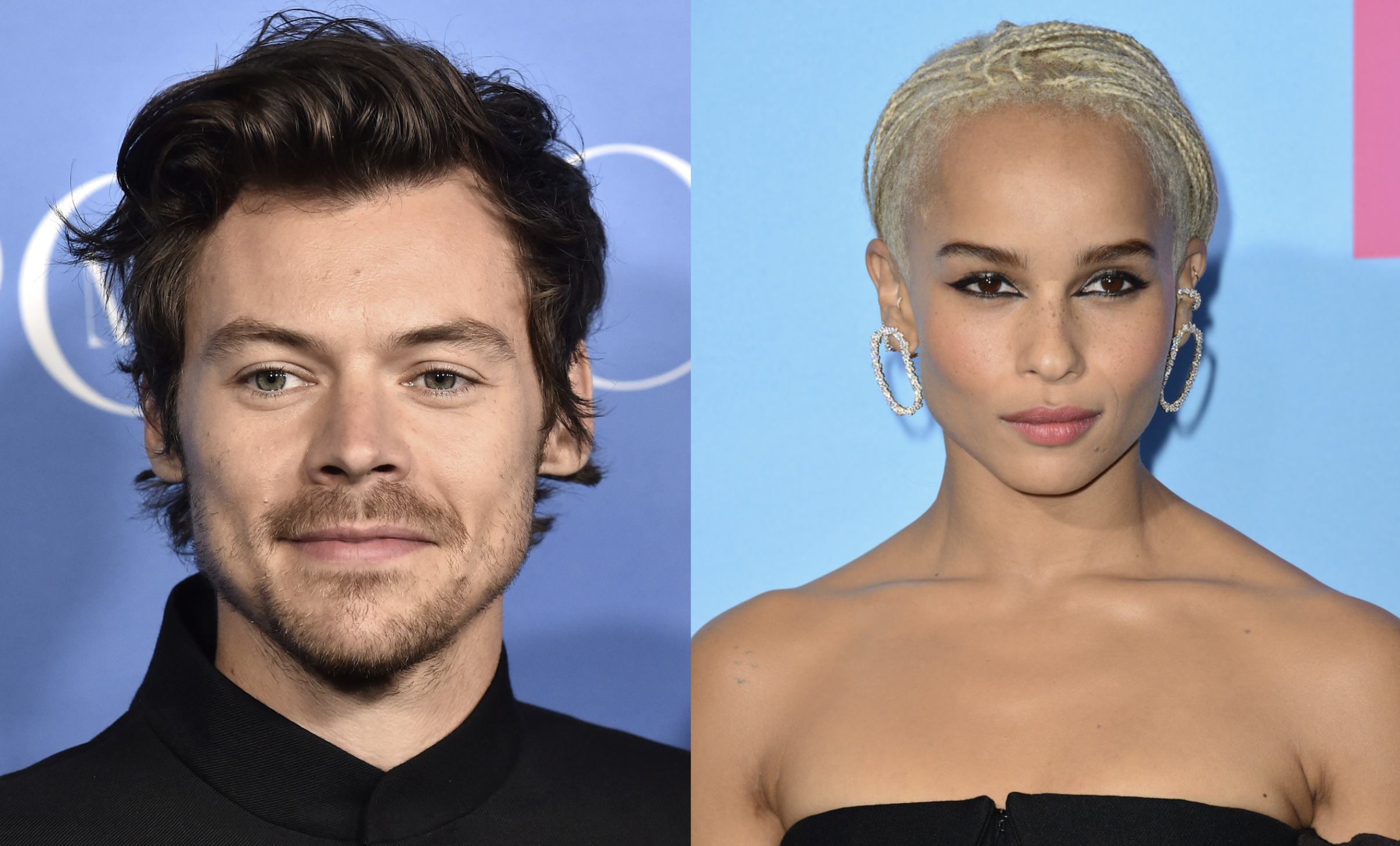 Harry Styles and Zoe Kravitz