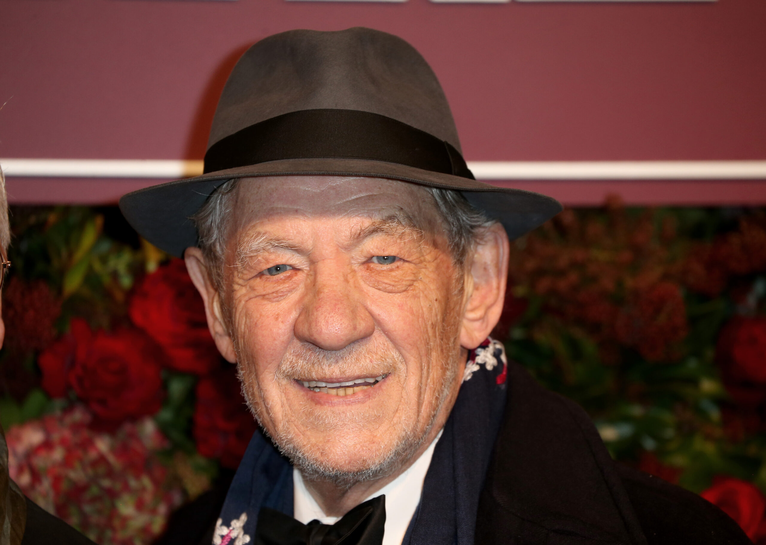 Ian Mckellen