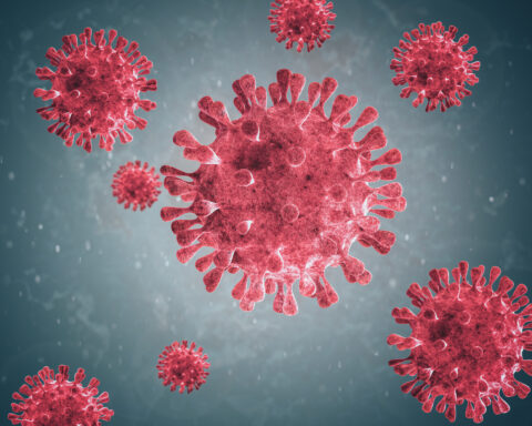 Virus