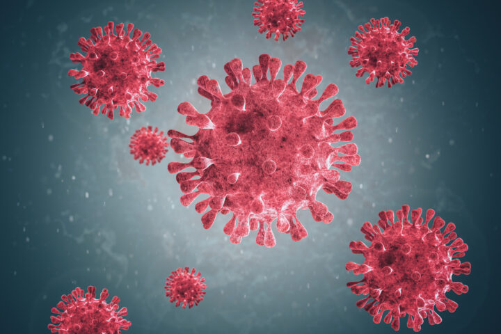 Virus