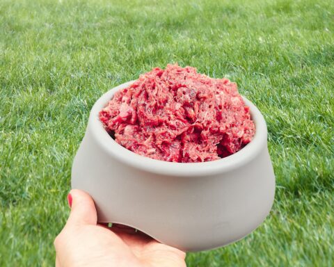Raw pet food