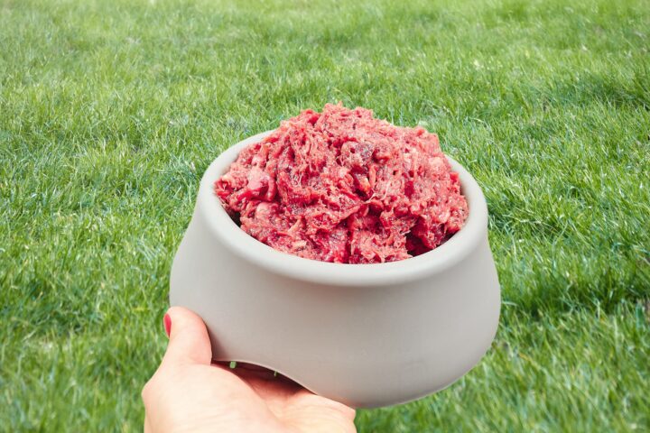 Raw pet food