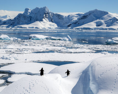 Antartica